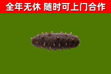临渭区烟酒回收干海参.jpg